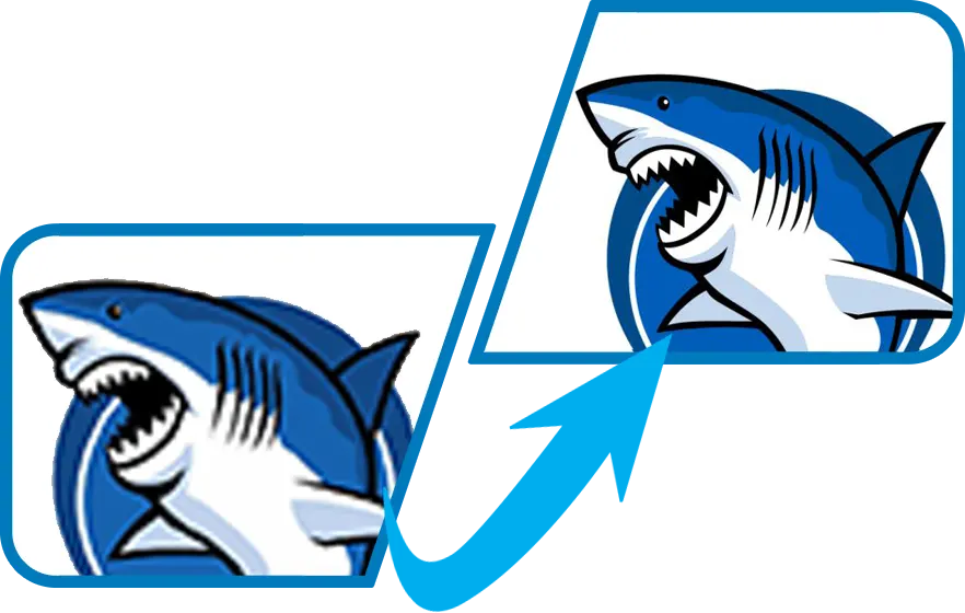 shark convert jpg to vector